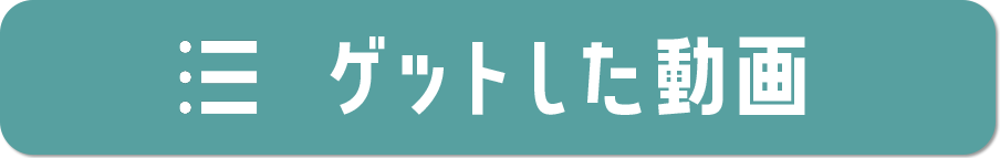 ゲットした動画