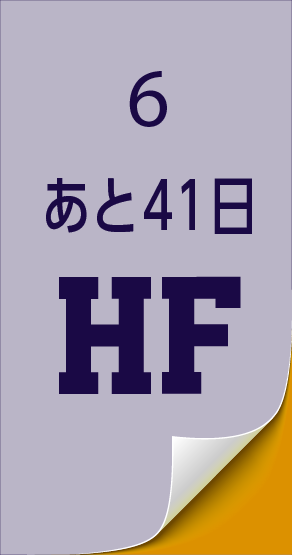 11/06