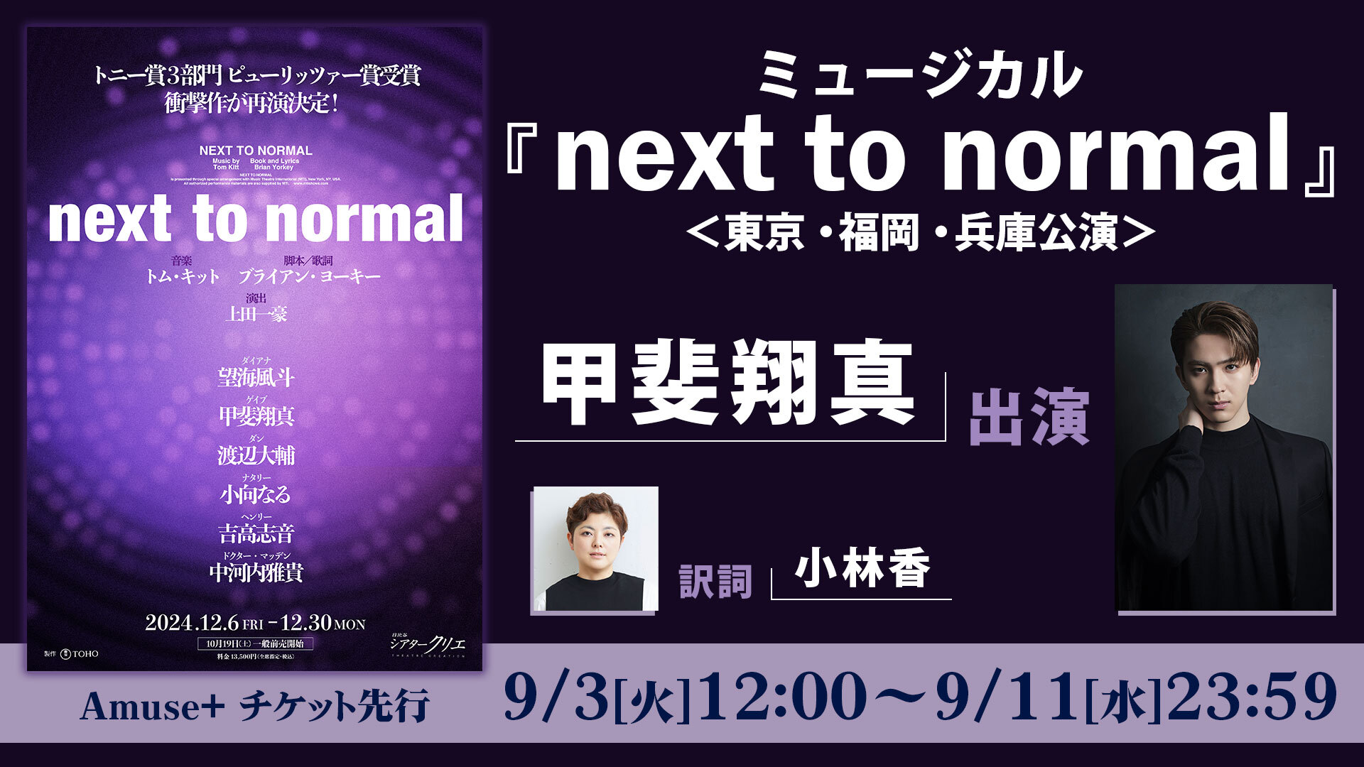 【輸入盤】NEXT TO NORMAL ネクスト・トゥ・ノーマル N2N 2枚組 ミュージカル『next to normal』 【東京公演】 - チケット