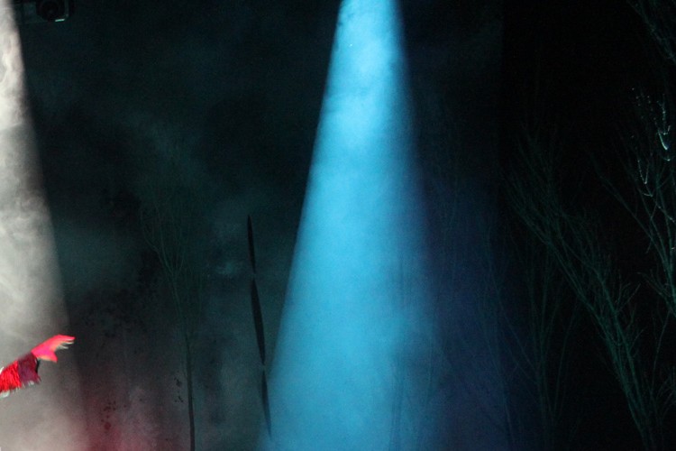 舞台FROGS FROGS』 – 株式会社ネルケプランニング